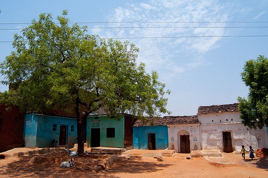 Osada w pobliżu Orchhy (Indie 2010 - zabytki i inne miejsca)
